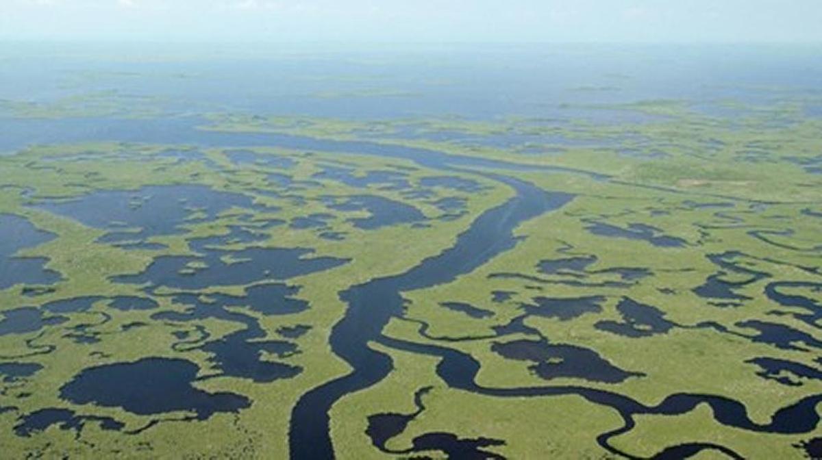 Once a vast “River of Grass” extending from Lake Okeechobee to Florida Bay, the Everglades was divided by canals and levees into units now known as Everglades National Park, Big Cypress National Preserve and Water Conservation Areas.