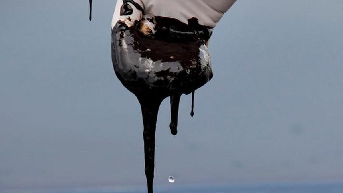 Thick oil sullied the waters of the Gulf of Mexico after the Deepwater Horizon explosion and oil spill in 2010.