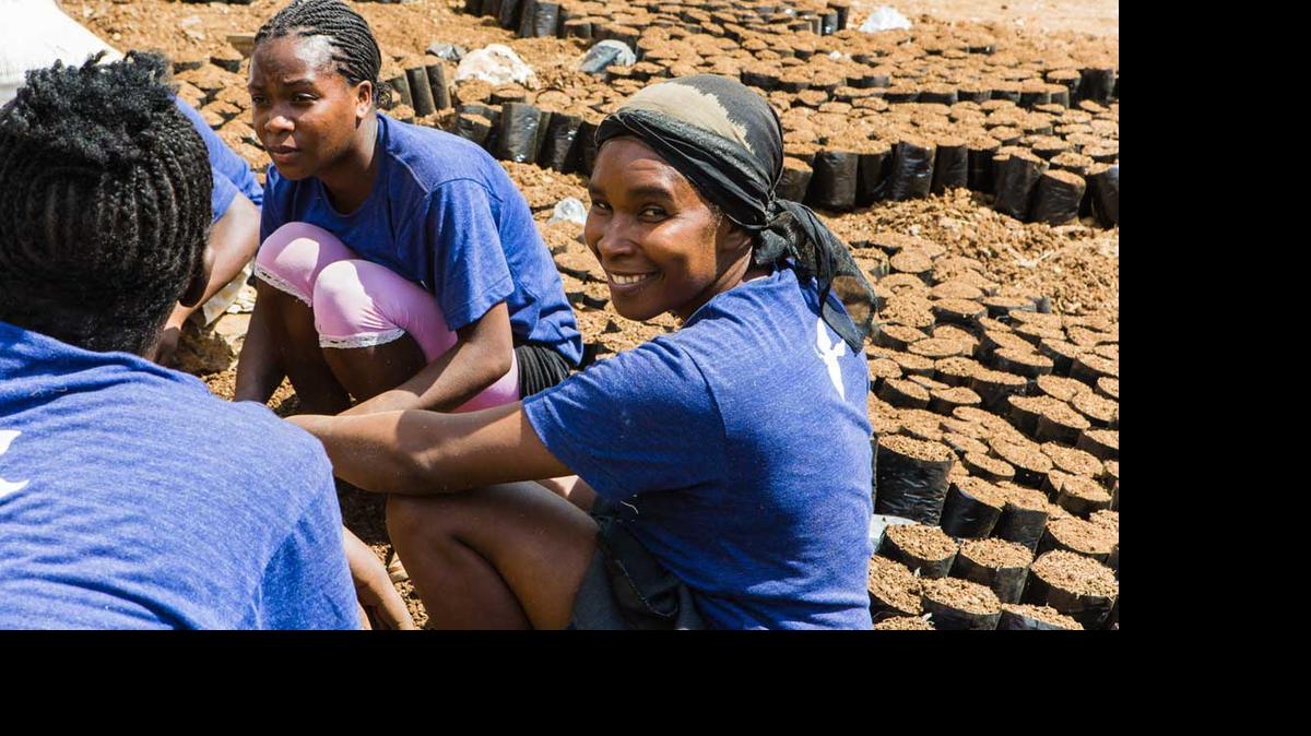 
HAITI: The Clinton Foundation is a partner of the Haiti Coffee Academy, which trains Haitians in coffee agronomy. 
