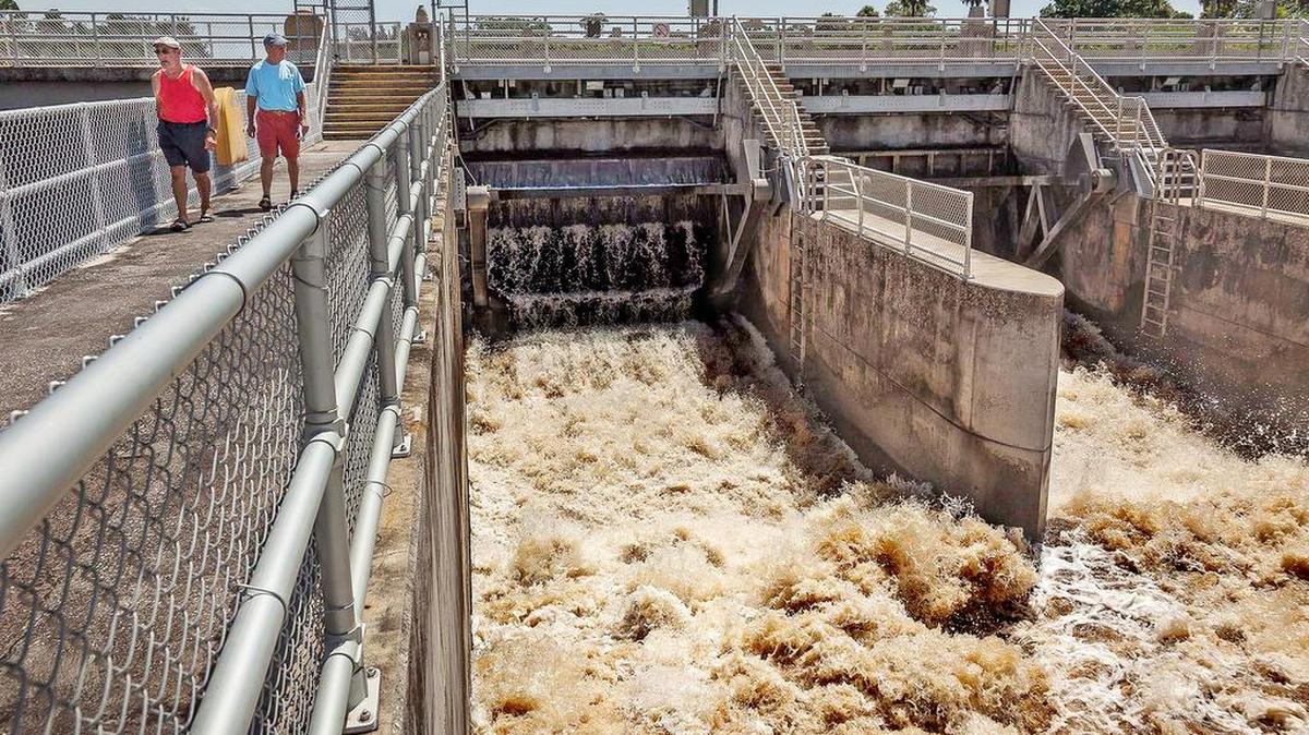 Rising water levels in Lake Okeechobee have led to increased discharges that have fouled surrounding waters and estuaries.