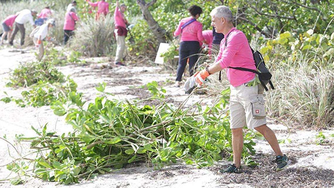 Volunteers with the Nature Conservancy help renourish Miami shorelines.