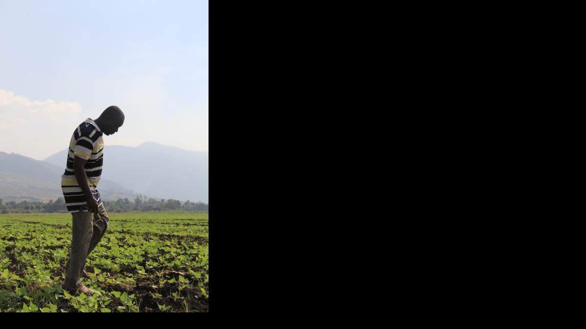
IN HAITI: A farmer who will benefit from a new water-diversion dam just outside Port-au-Prince walks through his field.
