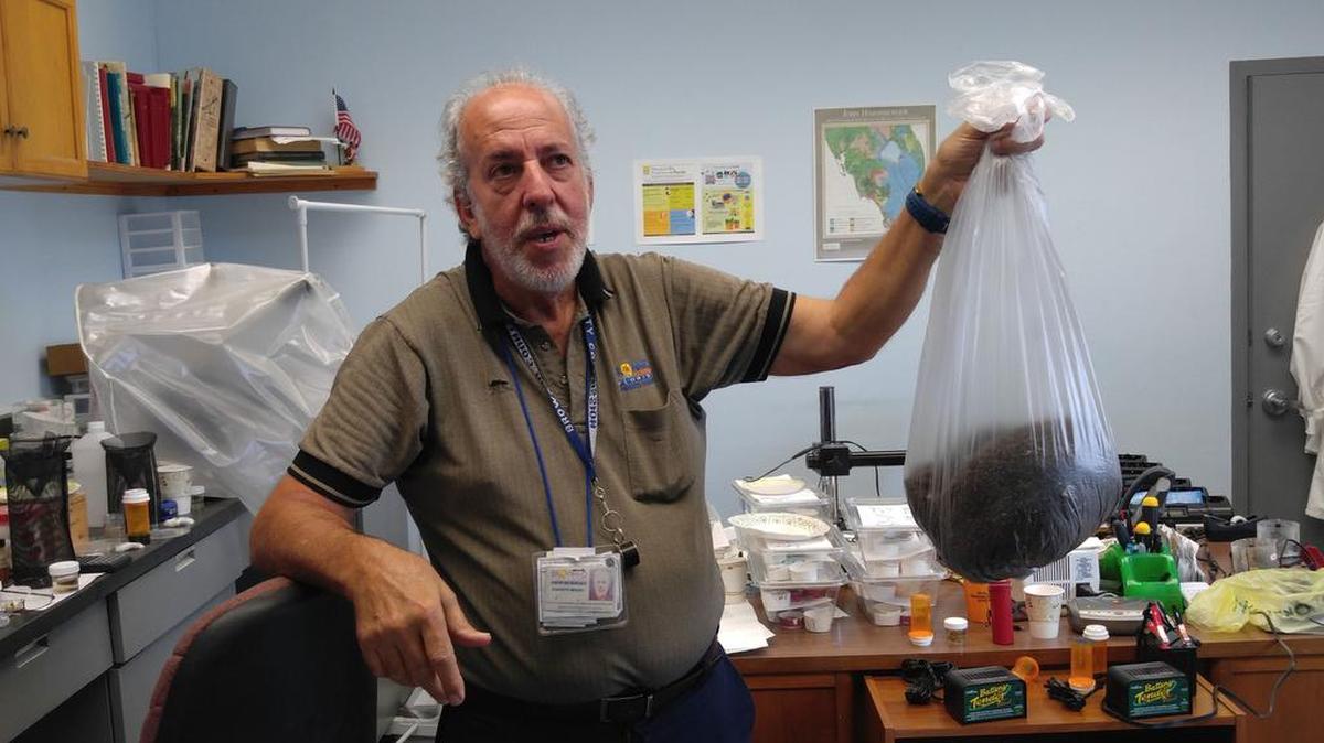 Biologist Evaristo Miqueli of the Broward County Mosquito Control office holds a bag of thousands of dead mosquitos his agency has caught in 2016.