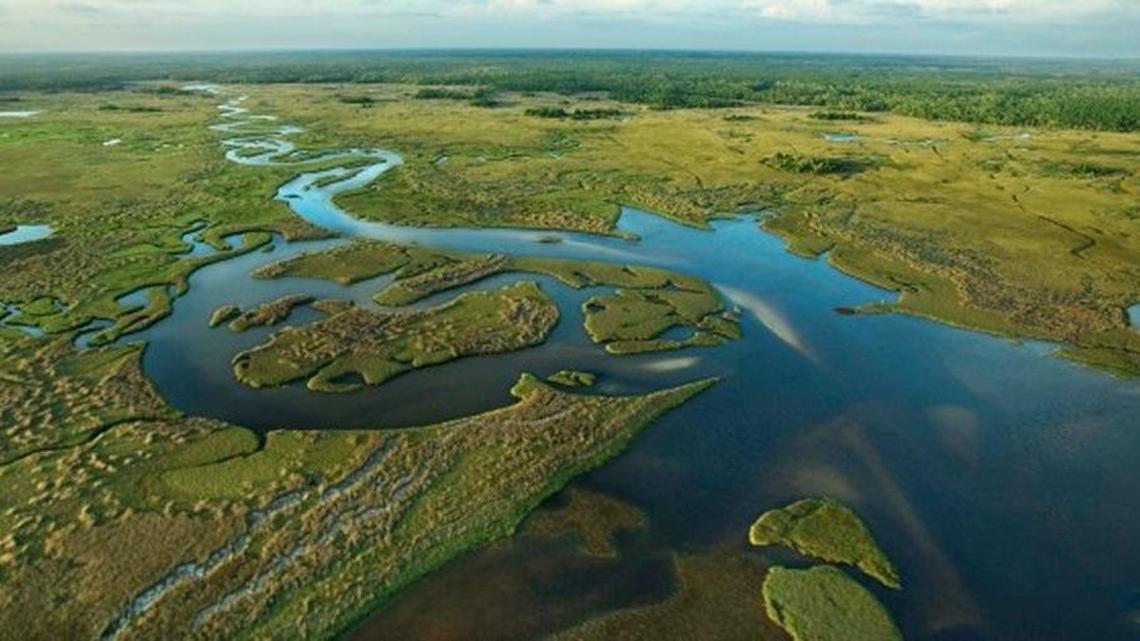 Aerial view of Florida Everglades