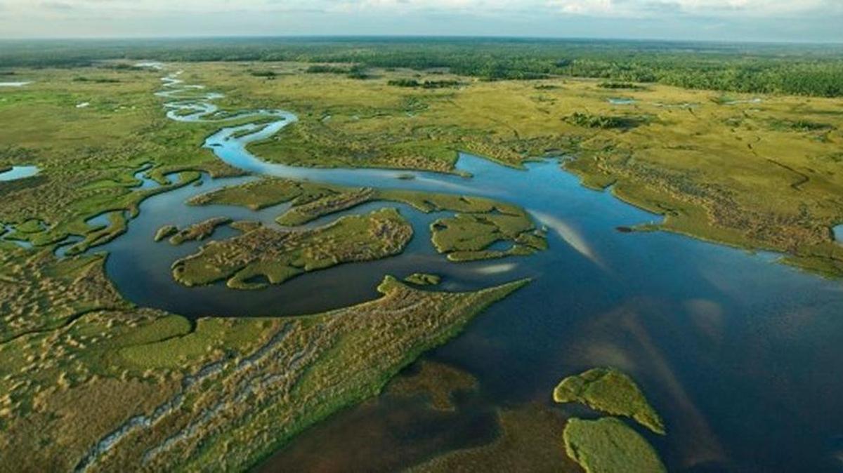 Aerial view of Florida Everglades