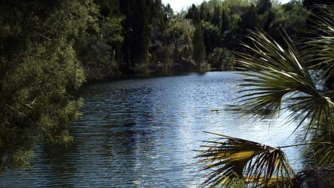 The Southwest Florida Water Management District voted to cut the flow of freshwater springs that feed Crystal River. Good for developers. Bad for the river.