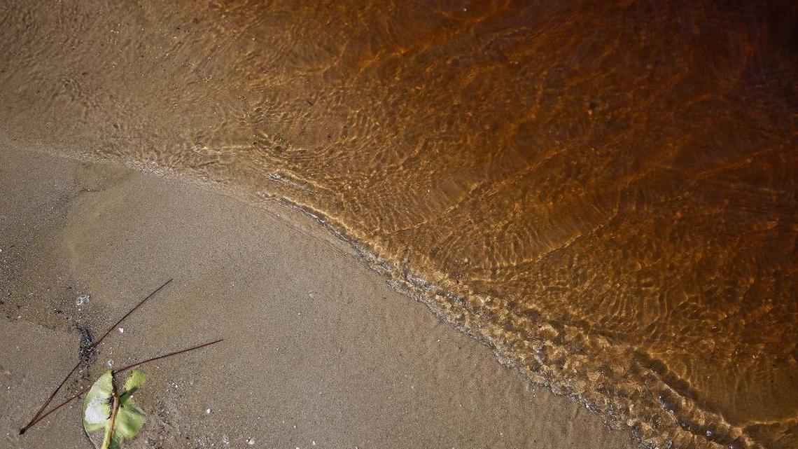 Dirty brown water is polluting the Caloosahatchee watershed after managers began dumping millions of gallons from Lake Okeechobee.