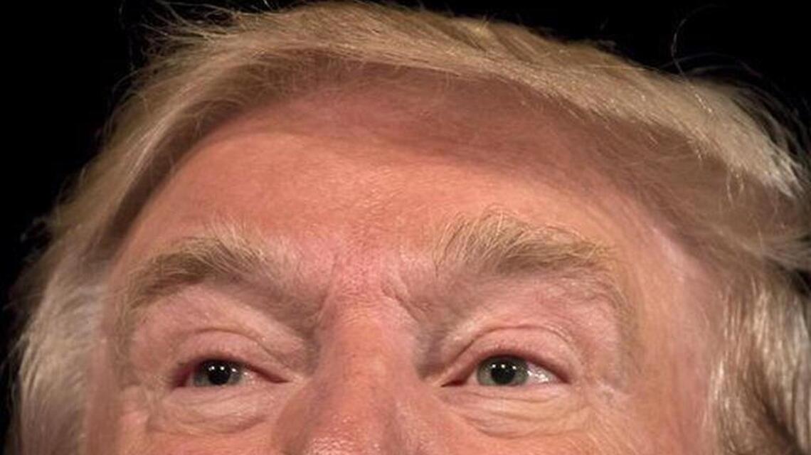 Dear IRS: Orangutan hairs are legit!
