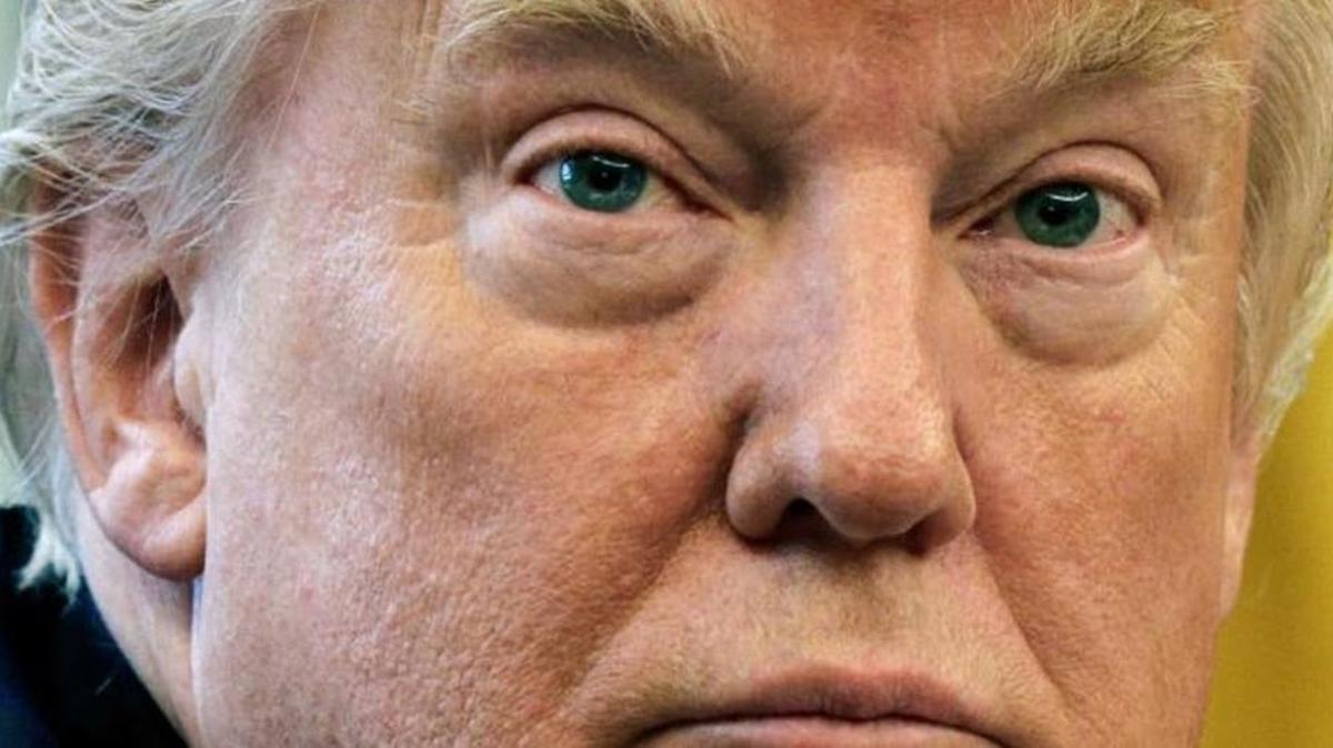 If nothing else, in six months, President Trump “has taught us to live in a state of perpetual chaos and continuous crisis.”