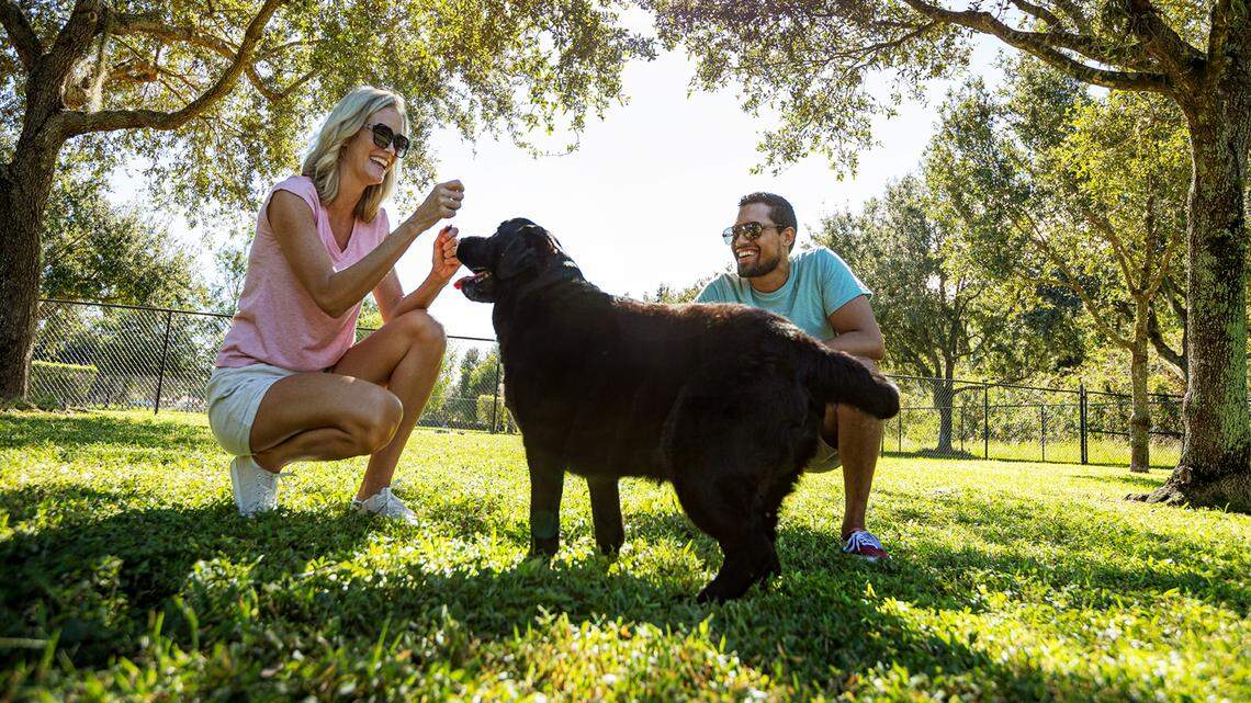 A Social Season Awaits: Free events, live music, and vibrant community life in Ave Maria