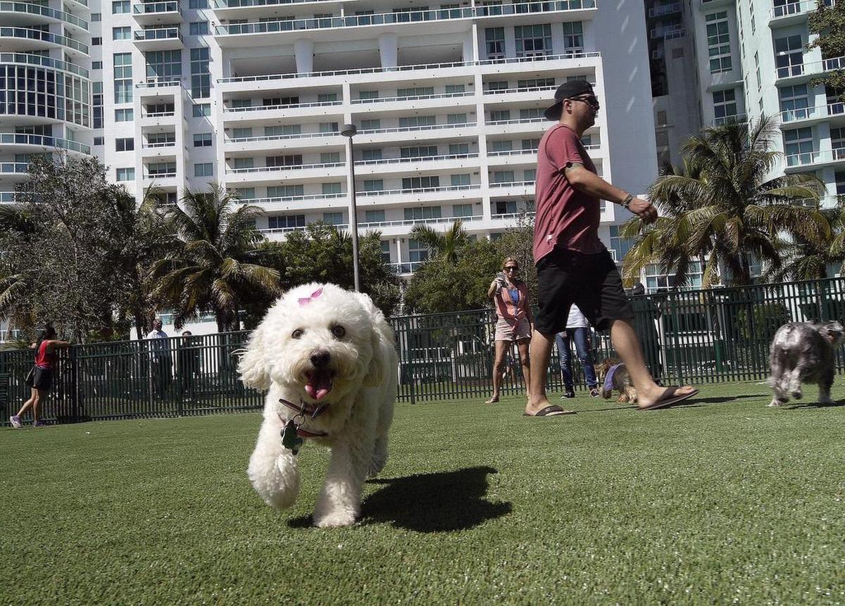 Margaret Pace Park, at 1745 N. Bayshore Drive, is equipped with a playground, running trails, open green space and a dog park.