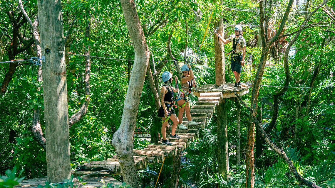 Things To Do in Miami With Kids