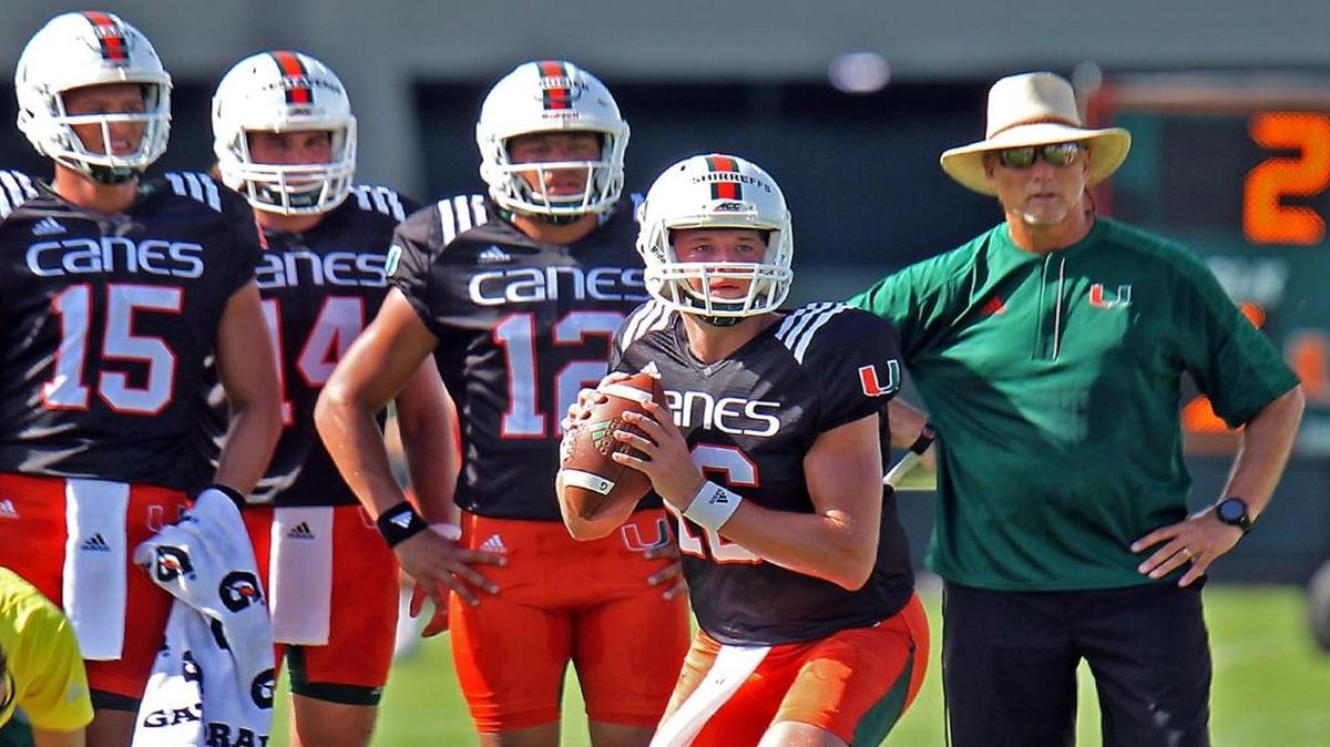 University of Miami backup Quarterback Evan Shirreffs (16) takes a snap while being watched by fellow QB's Brad Kaaya (15), Vincent Testaverde (14) and Malik Rosier (12) and Coach Mark Richt at practice on Sun., Aug. 7, 2016.