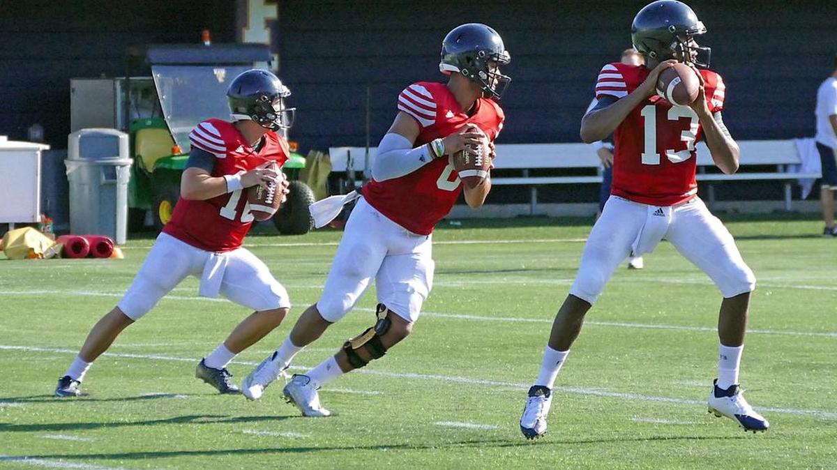 
Quarterbacks Trey Anderson, Christian Alexander and Maurice Alexander are shown at FIU football practice Monday, Aug. 10, 2015.
