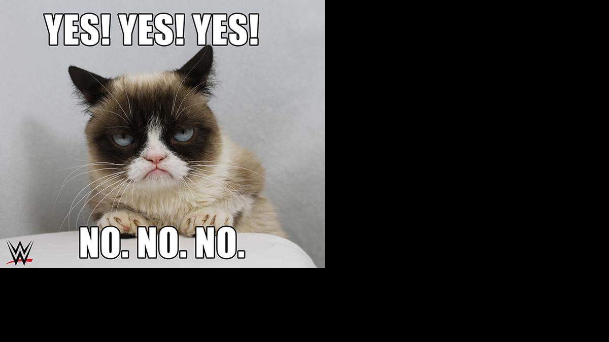 
Internet sensation Grumpy Cat will be on ‘WWE Monday Night Raw’ on Nov. 17 on the USA Network.
