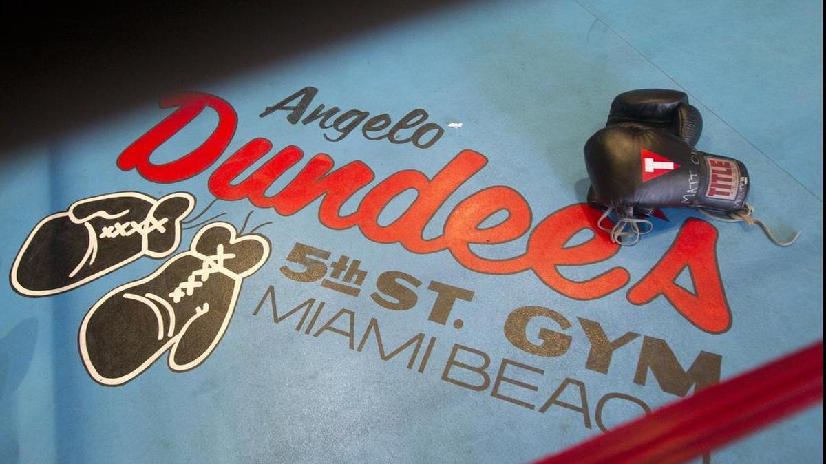 The new 5th Street Gym has been moved to Alton Road after its original location in Miami Beach was bought out by CVS.