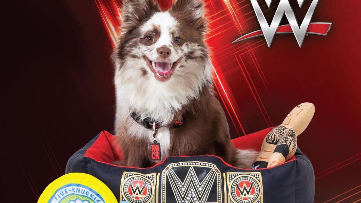 Petmate, the worldwide leader of solutions and excellence in the pet industry providing fun trusted, quality products to enhance the lives of pets and their families, announces the launch of its new collection of WWE pet products available at retailers nationwide.