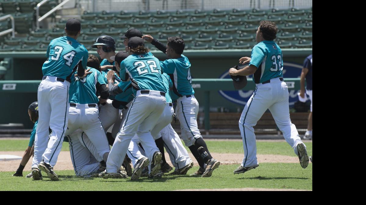 
Archbishop McCarthy players celebrate their 8-7 walk-off victory against Tampa Robinson in a Class 5A semifinal at JetBlue Park in Fort Myers on Friday, May 15, 2015.
