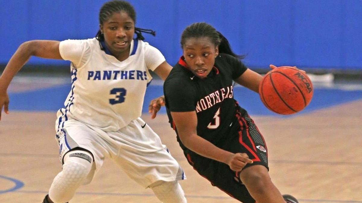 Northeast HS Kandis Taylor drives the ball around Dillard HS Dominique Fields at Dillard HS on Tues., Feb. 14, 2017.