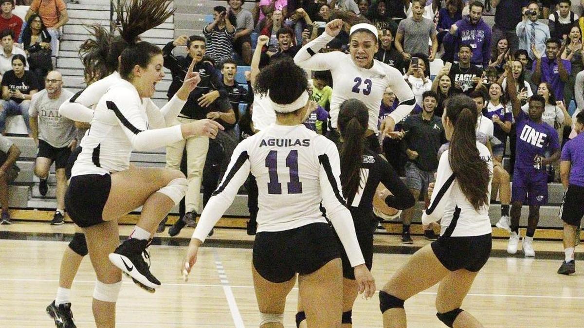 Southwest Eagles celebrate victory against West Broward Bobcats during the regional playoff final volleyball game on Tues., Nov. 7, 2017 at West Broward HS in Pembroke Pines