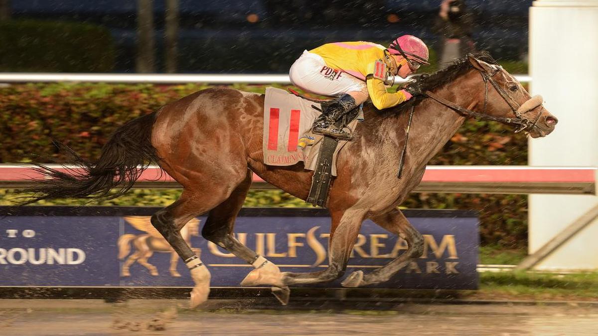 Jockey Javier Castellano guides Royal Posse to a come-from-behind victory in the $200,000 Claiming Crown Jewel on opening day at Gulfstream Park. Castellano, one of the country’s top jockeys, rode four winners on the 11-race card.