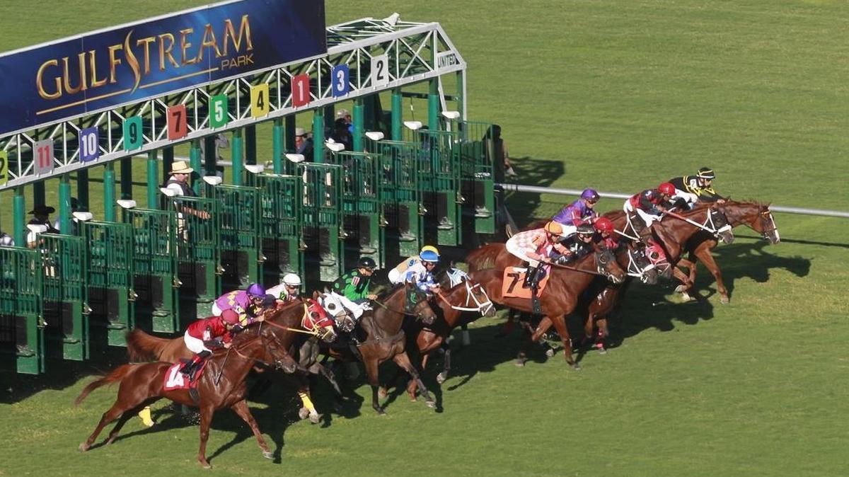 According to a statement put out Tuesday by the Stronach Group, “There will be 12 entrants who will pay $1 million each to buy a spot in the Pegasus World Cup starting gate.”