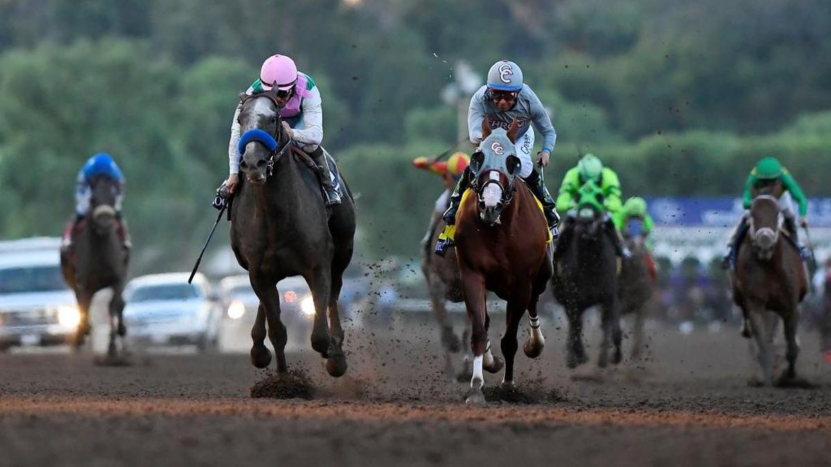 From left, Arrogate and California Chrome are the heavy favorites in Saturday’s Pegasus World Cup Invitational. The winner receives $7 million.