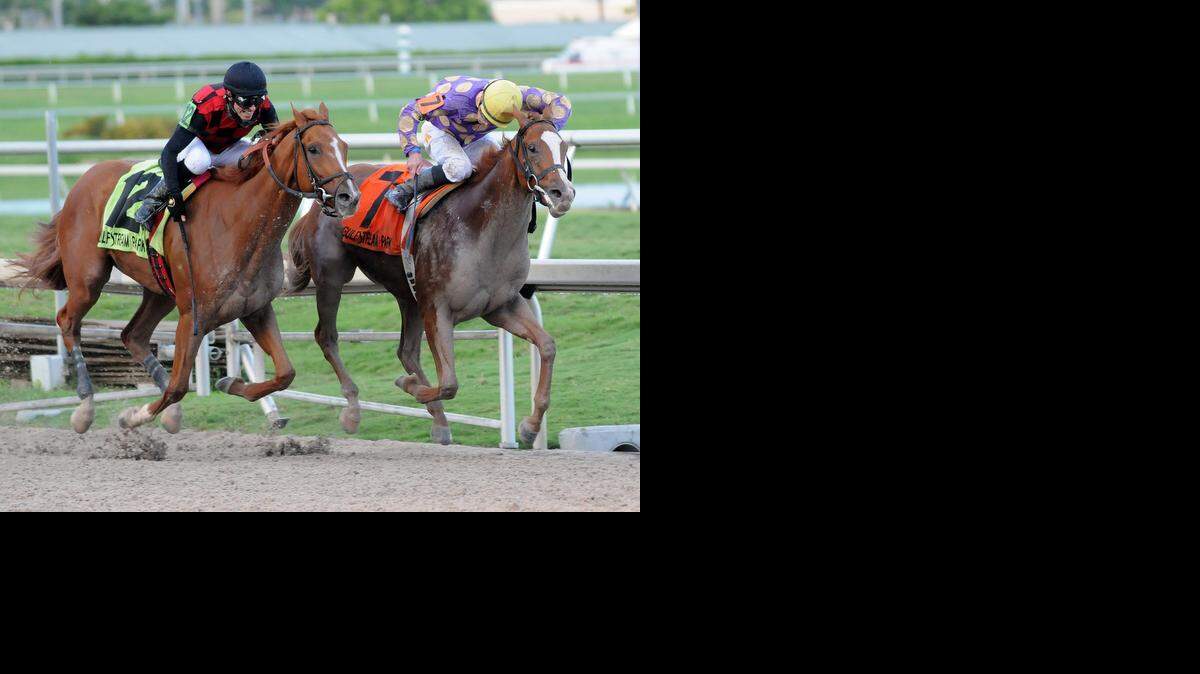 
Down the stretch: Ramsey Zimmerman and Sing Praises (7) make their move and win the In Reality of the Florida Sire Stakes by a nose over Royal Squeeze.
