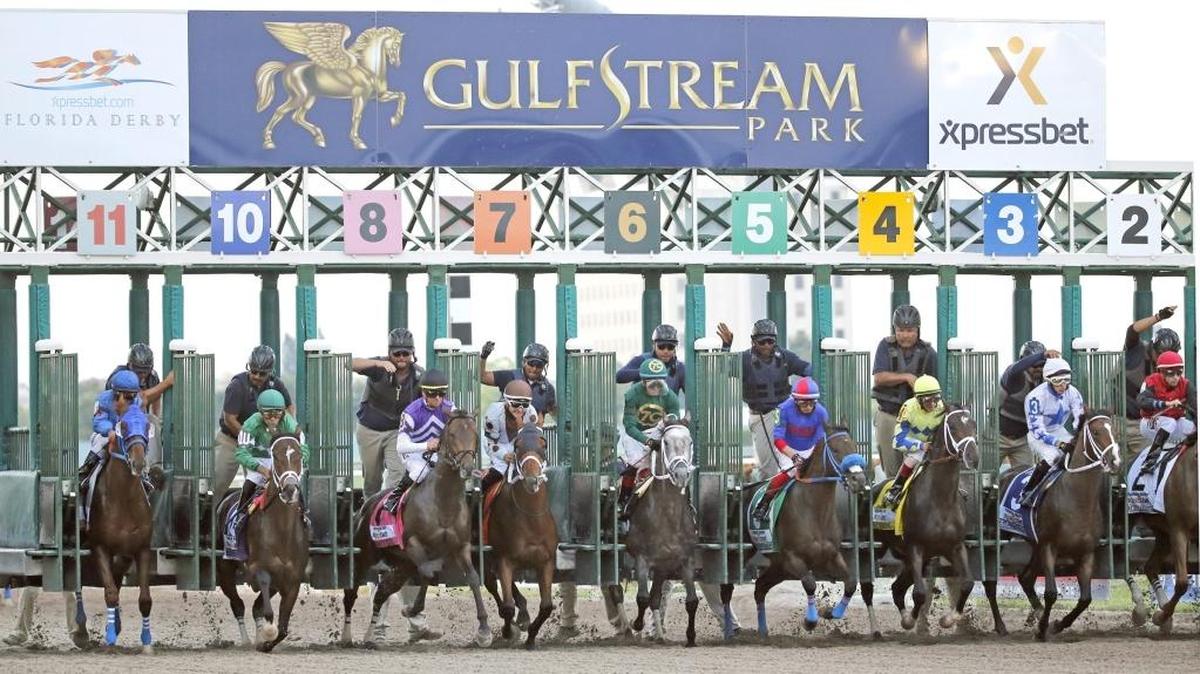 A field of 12 horses from such countries as Panama, Venezuela and Mexico are set to vie Saturday at Gulfstream Park in the Clasico del Caribe.