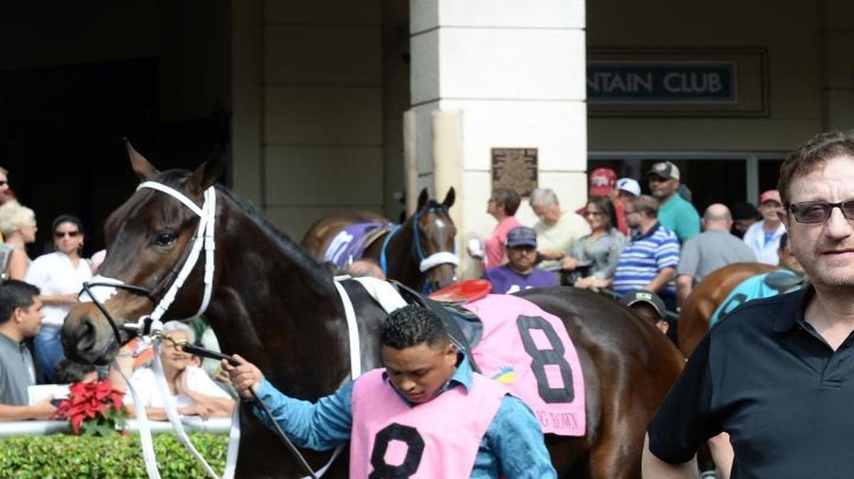 Laurence Leavy, who travels to baseball games as Marlins Man, also has a passion for thoroughbred horse racing.