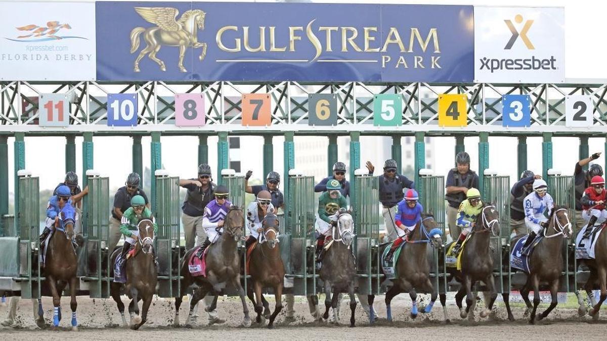 Gulfstream Park’s market share of the total $10 billion wagered on horse racing last year was a staggering 18 percent, said Tim Ritvo, chief executive officer of the Stronach Group. Put another way, for every $5 that was bet on horses, nearly $1 was pumped into Gulfstream races.