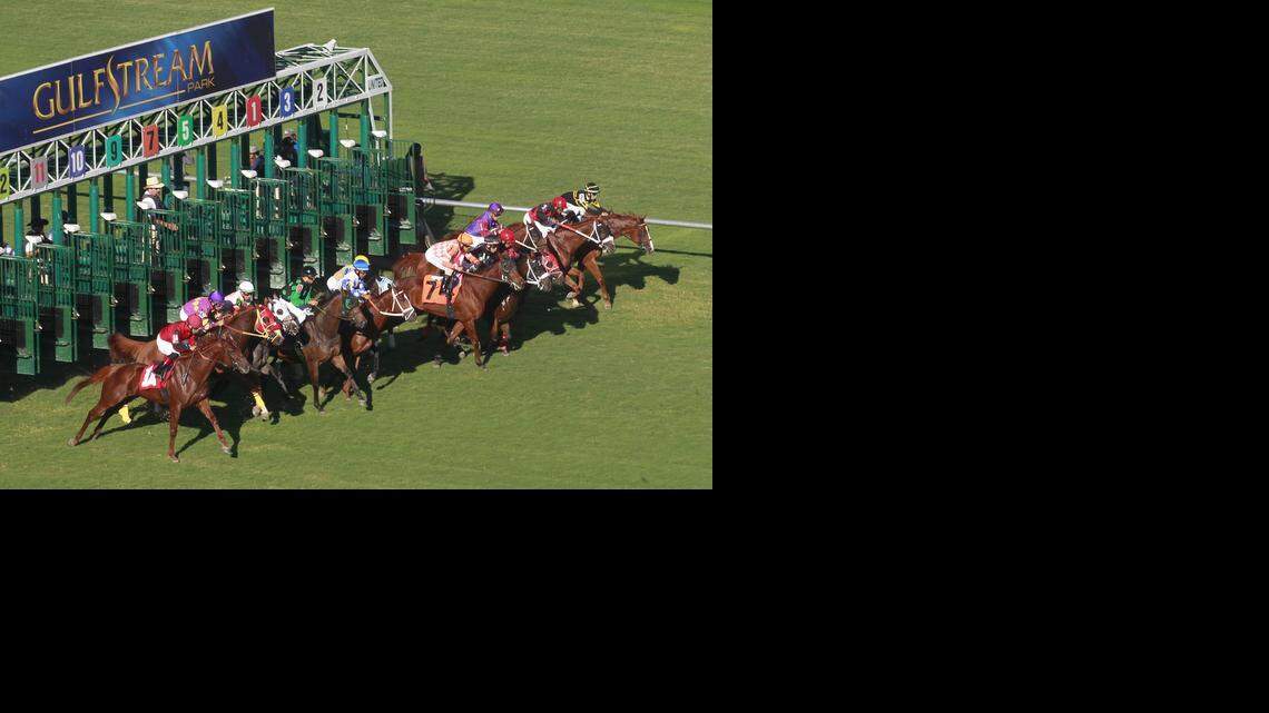 
Gulfstream Park will host the Florida Sire Stakes, which was formerly called the Florida Stallion Stakes and was run at Calder. 
