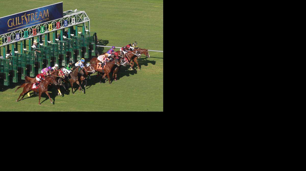 
Gulfstream Park will host the Florida Sire Stakes, which was formerly called the Florida Stallion Stakes and was run at Calder. 
