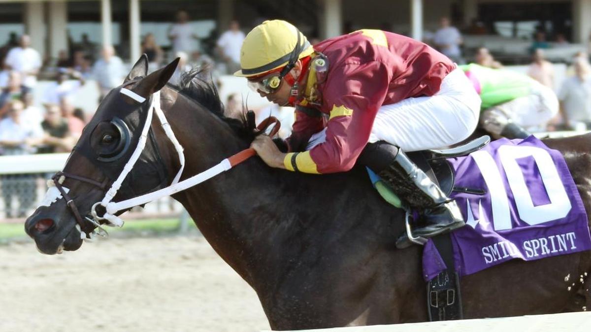 
Big Drama , trained by David Fawkes and ridden by jockey Eibar Coal scored an important stakes victory at Calder Casino & Race Course on July 10, 2010, at the Summit of Speed when he dominated the field of 12 in the $350,000 Smile Sprint Handicap (G2).
