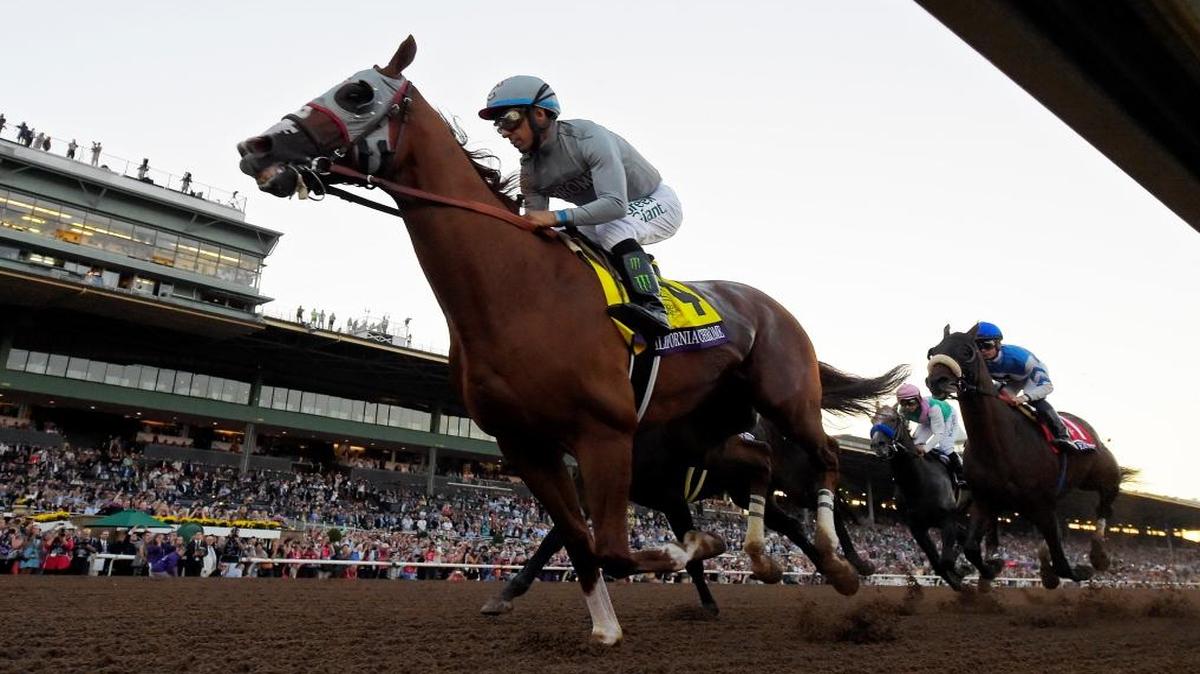 California Chrome, winner of the 2014 Kentucky Derby, is expected to take part in the Pegasus Cup, along with an expected field of 11 other challengers with flashy résumés.