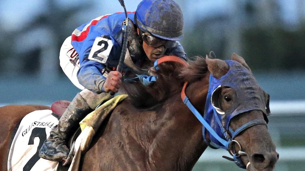 Gunnevera, winning the Fountain of Youth Stakes last month at Gulfstream Park, is the 9-5 favorite to win the Florida Derby -- his final prep race before the Kentucky Derby.