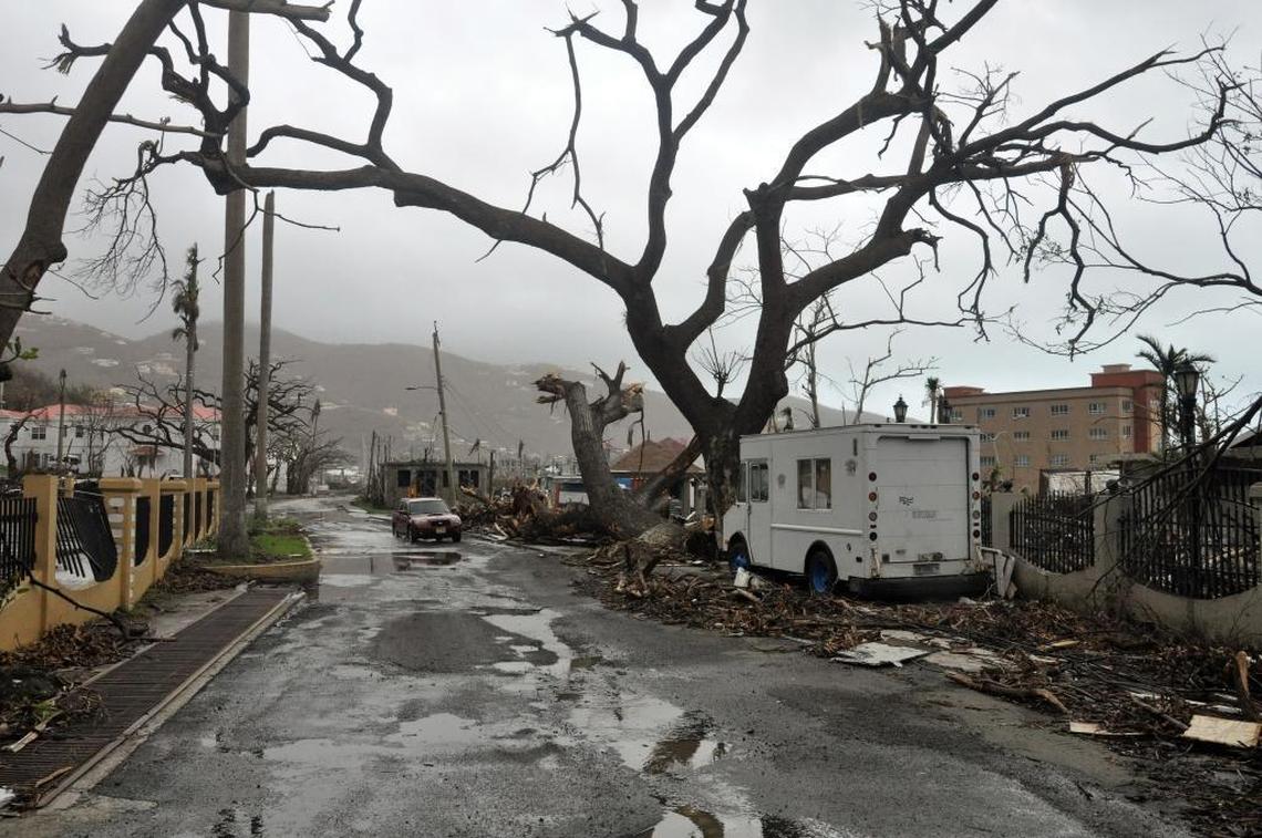 Trees stand barren and debris covers the roadside after Hurricane Maria in Road Town, on the island of Tortola, in the British Virgin Islands, early Wednesday, Sept. 20, 2017.