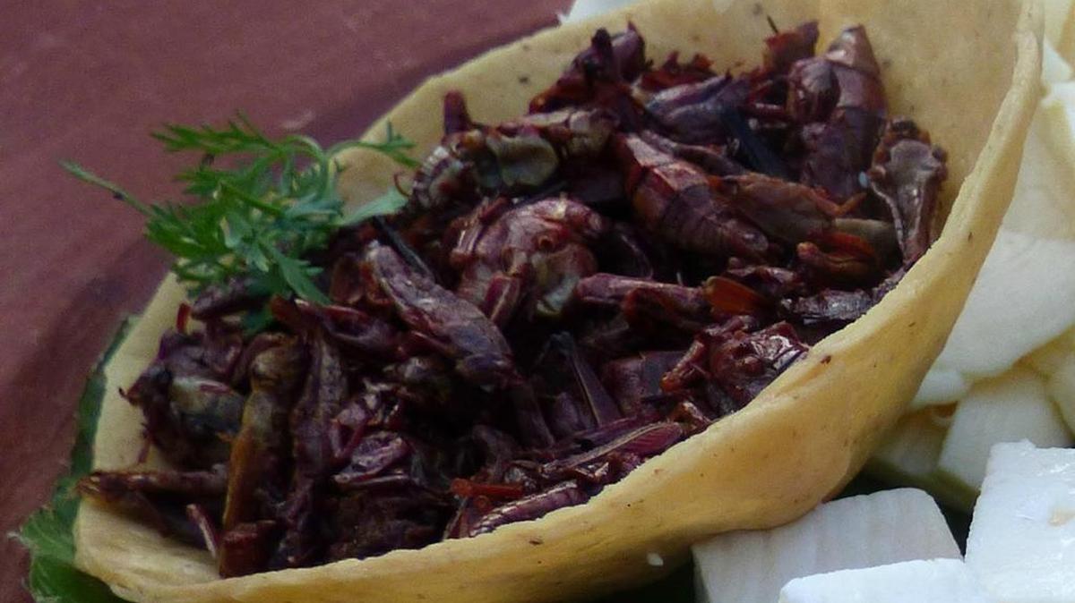 Roasted chapulines, which are commonly known as grasshoppers, make a tasty appetizer.