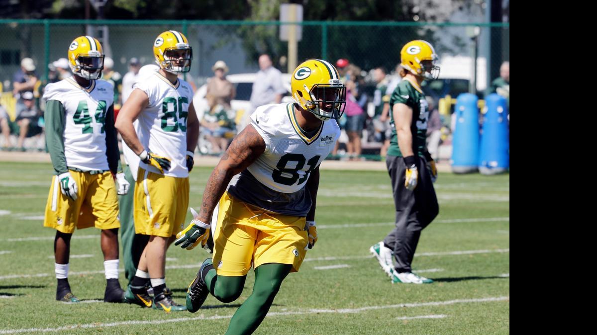
Green Bay Packers' Andrew Quarless runs a drill during an NFL football mini camp Tuesday, June 16, 2015, in Green Bay, Wis.
