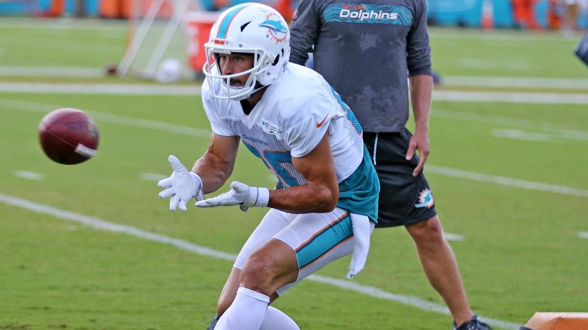 Miami Dolphins receiver Danny Amendola catches a touchdown during training camp last Friday.