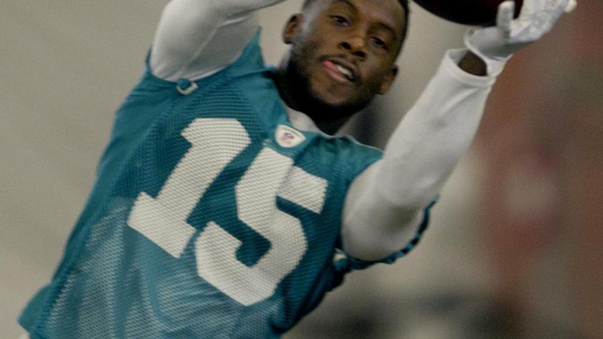 Wide receiver Davone Bess catches this pass in drills during morning practice at Miami Dolphins Training camp in August 7, 2012.
