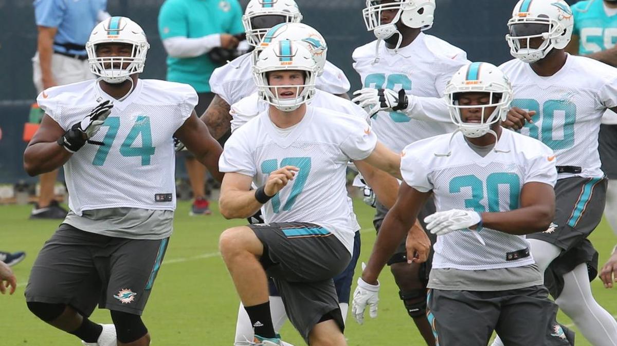 Offensive lineman Jermon Bushrod (74), quarterback Ryan Tannehill (17), and running back Daniel Thomas (30) during OTAs at the Miami Dolphins' training facility June 6, 2016, in Davie, Fla.