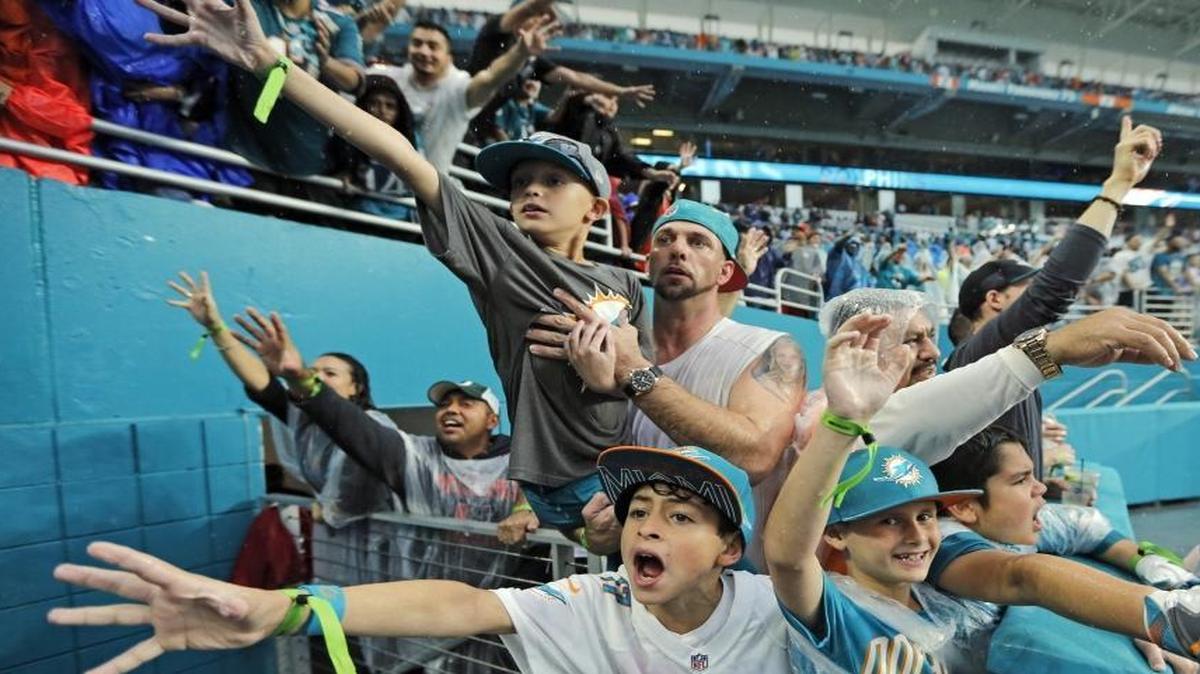 Will these Dolphins fans have reason to cheer come January?