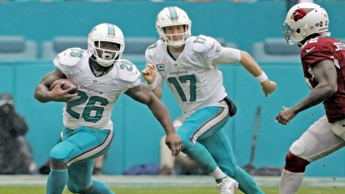 Damien Williams rounds out a deep Dolphins backfield in 2017.