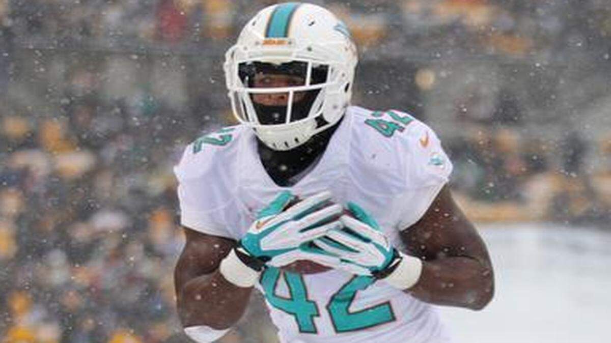 
Charles Clay caught 58 passes for 605 and three touchdowns last season for the Dolphins despite being plagued by injuries. 
