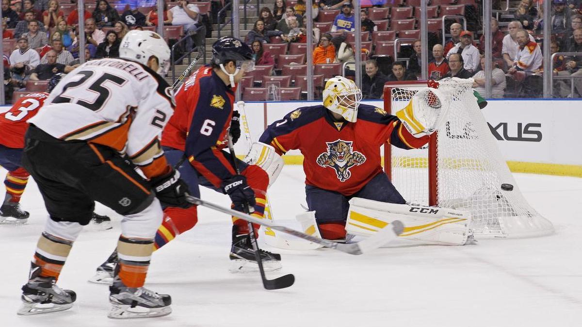 Florida Panthers goalie Roberto Luongo (1) makes a first-period save as Anaheim Ducks defenseman Korbinian Holzer (5) and Panthers defenseman Alex Petrovic (6) skate near the goal during an NHL hockey game Thursday, Nov. 19, 2015, in Sunrise, Fla.