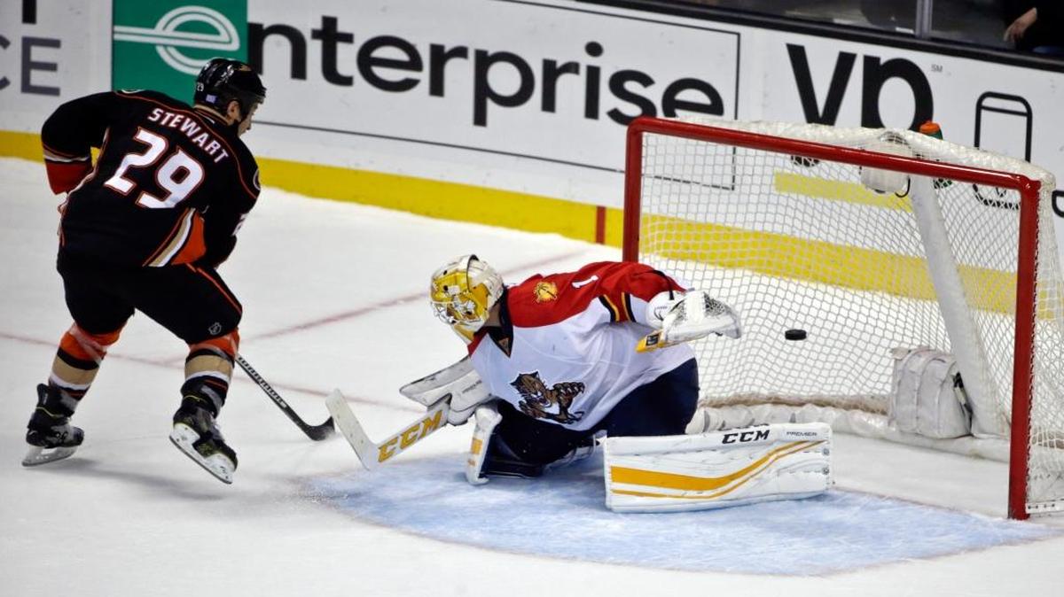 Anaheim Ducks right wing Chris Stewart scores against Florida Panthers goalie Roberto Luongo during a shoot out in an NHL hockey game Wednesday, Nov. 4, 2015, in Anaheim, Calif. Anaheim won 3-2.