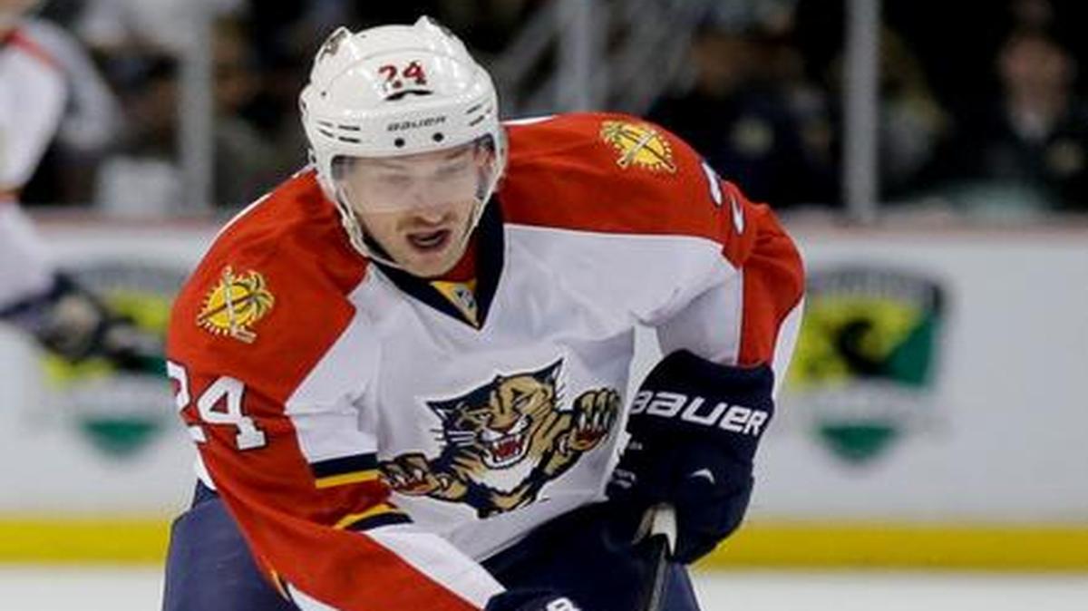 
Good fortune: Forward Brad Boyes said, ‘We’re putting pucks to the net, had some lucky bounces.’ 
