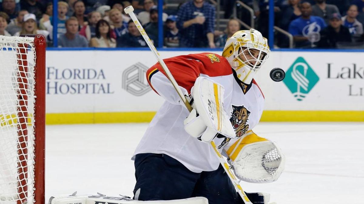 Florida Panthers goalie Roberto Luongo makes a save on a shot by the Tampa Bay Lightning during the second period of an NHL hockey game Saturday, Nov. 14, 2015, in Tampa, Fla.