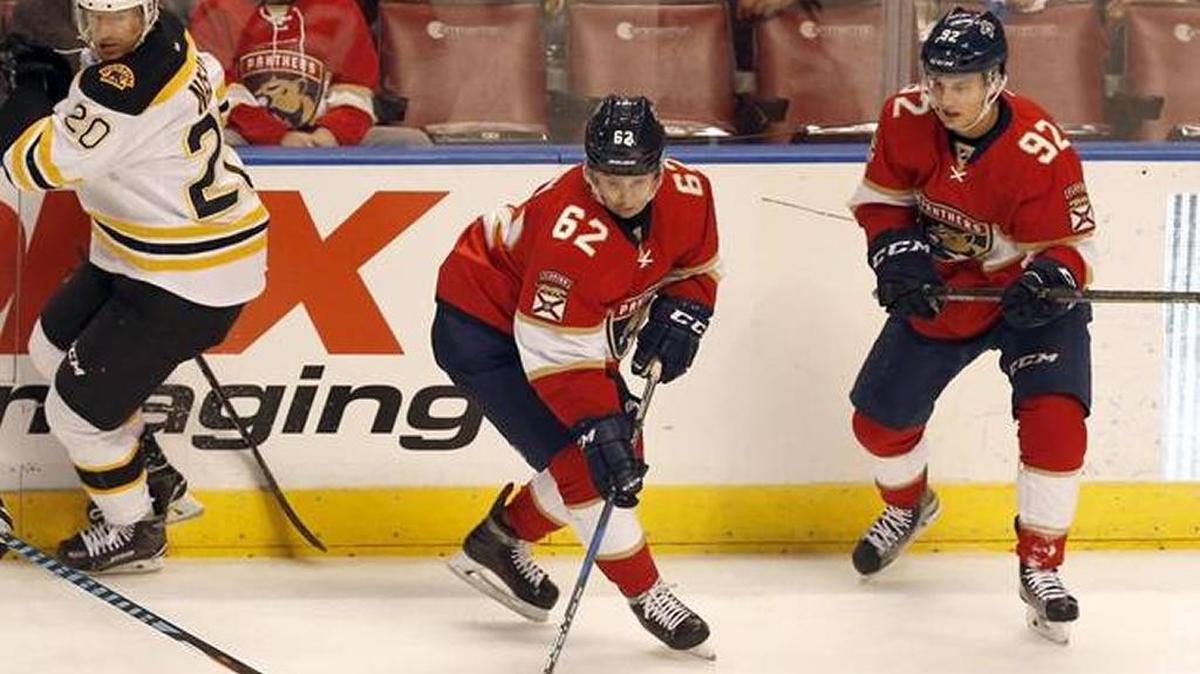 Florida center Denis Malgin works the puck in against the Boston Bruins on Tuesday night.